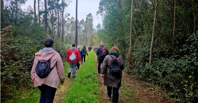 passeio_pedestre2024_2