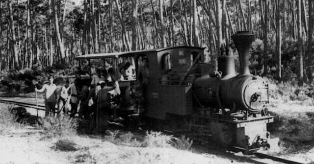 o_comboio_de_lata_no_pinhal_do_rei___locomotiva_no_2___ano_de_1923