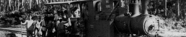 o_comboio_de_lata_no_pinhal_do_rei___locomotiva_no_2___ano_de_1923