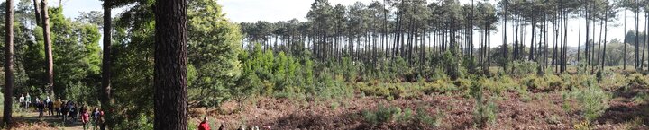 passeio_pedestre_2025_2