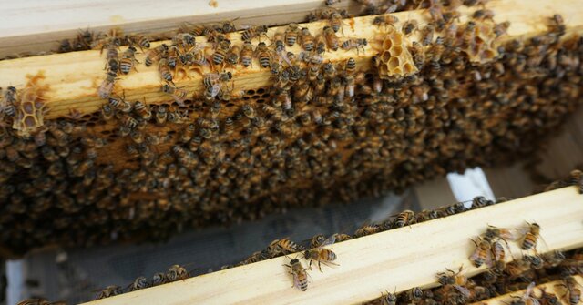 pexels_foolishmo_8227218_1_