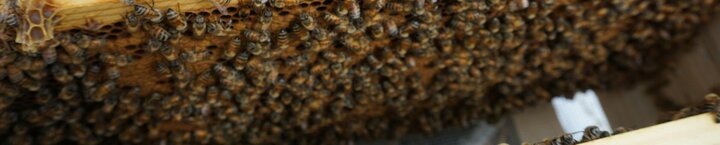 pexels_foolishmo_8227218_1_