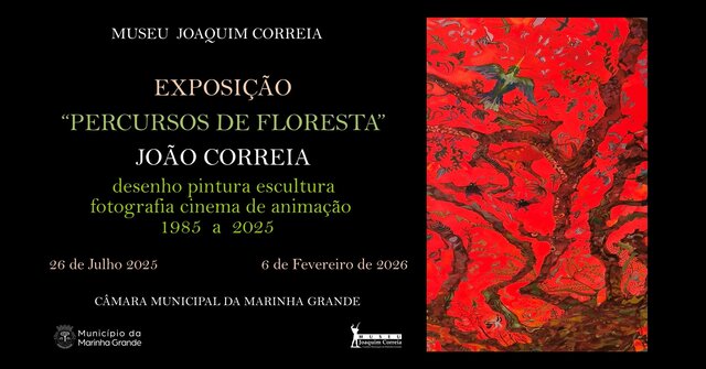 story_digital_exp_mg__1_