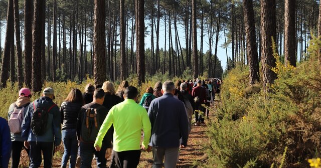 thumbnail_passeio_pedestre_2025_3