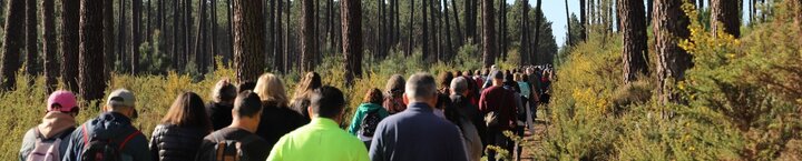 thumbnail_passeio_pedestre_2025_3