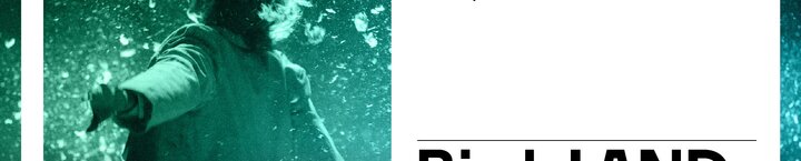 04_10_birdsland_banner_digital