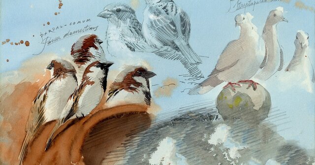 536269866_1065915315523847_5629120457531438220_n