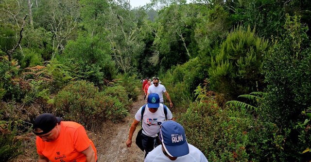 img_20250717_wa0007_1_