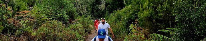 img_20250717_wa0007_1_