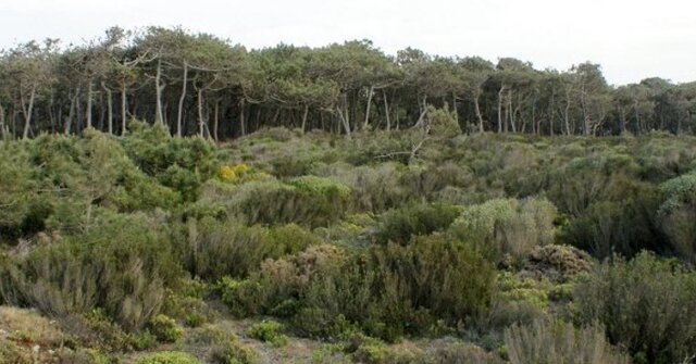 passeio_na_natureza_13092025