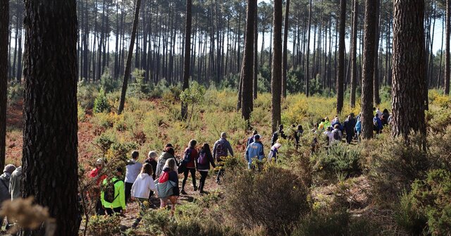 passeio_pedestre_2025_1