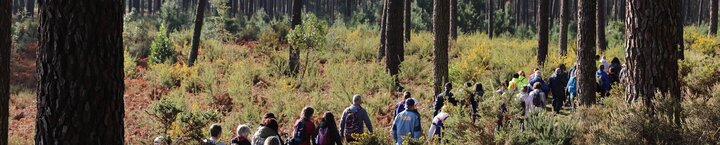 passeio_pedestre_2025_1