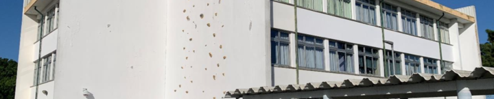 escola_jose_loureiro_botas_2024_4