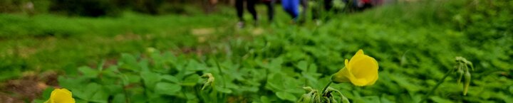 passeio_pedestre2024_1