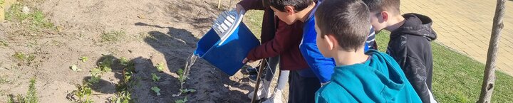 horta_ecologica_casal_malta_marco2025_12