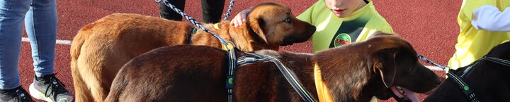 max_e_pazuzo_com_o_vasco