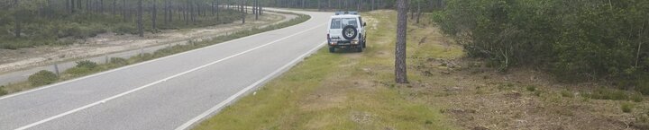 vigilancia_florestal1