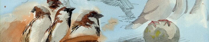 mjc_oficina_desenho_27092025_2