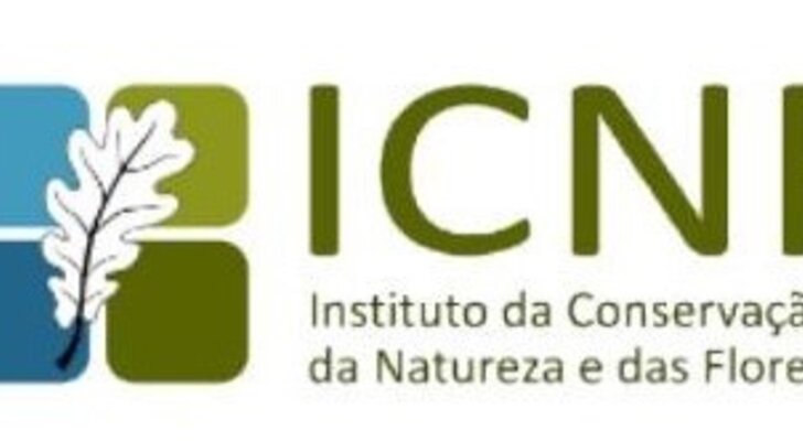 Publicitação Horizontal_2