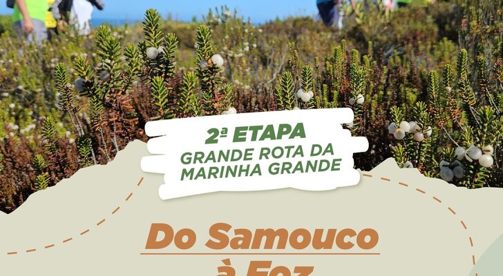 PASSEIOS PEDESTRES_FEV2024_cartaz