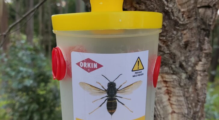 ArmadilhasVespaAsiatica_2024 (1)