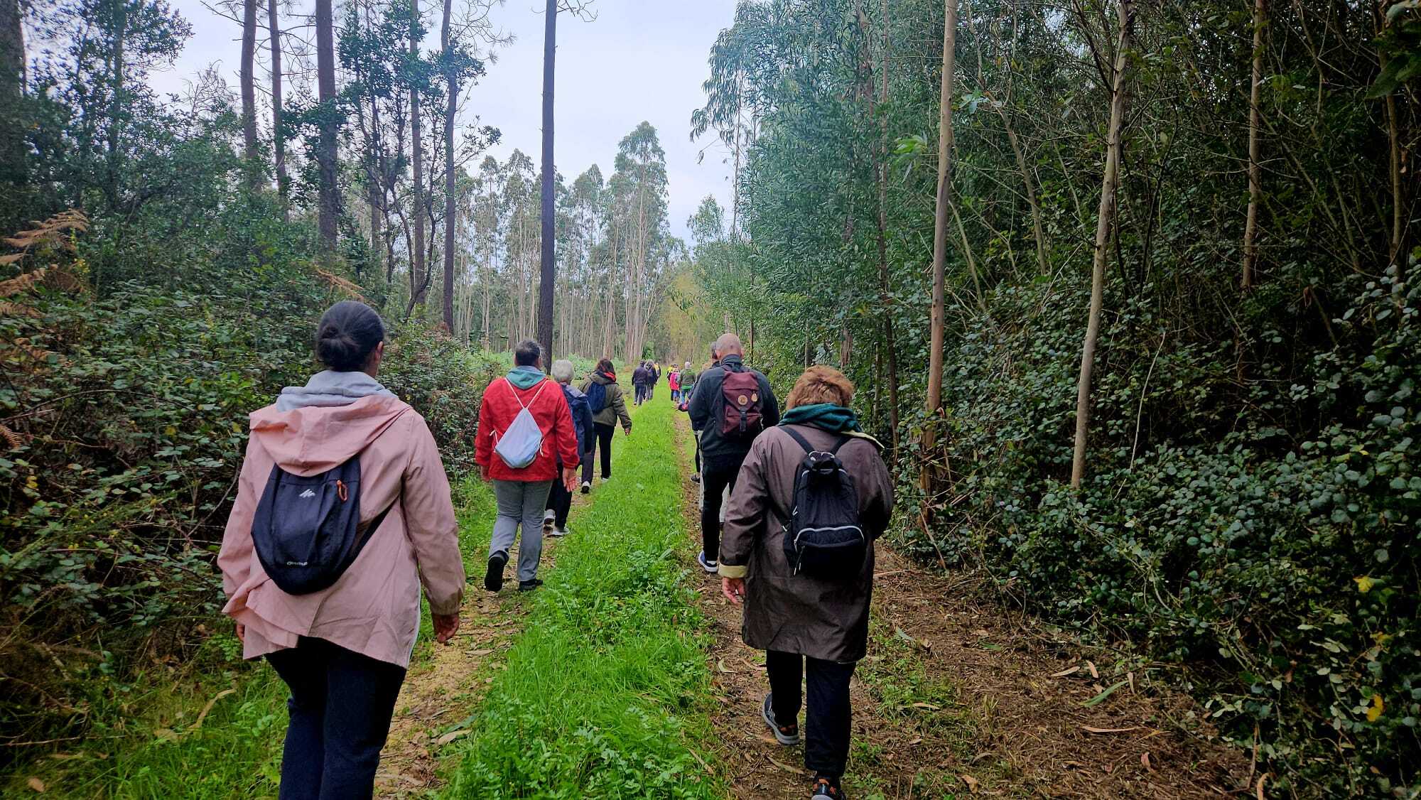 passeio_pedestre2024_2