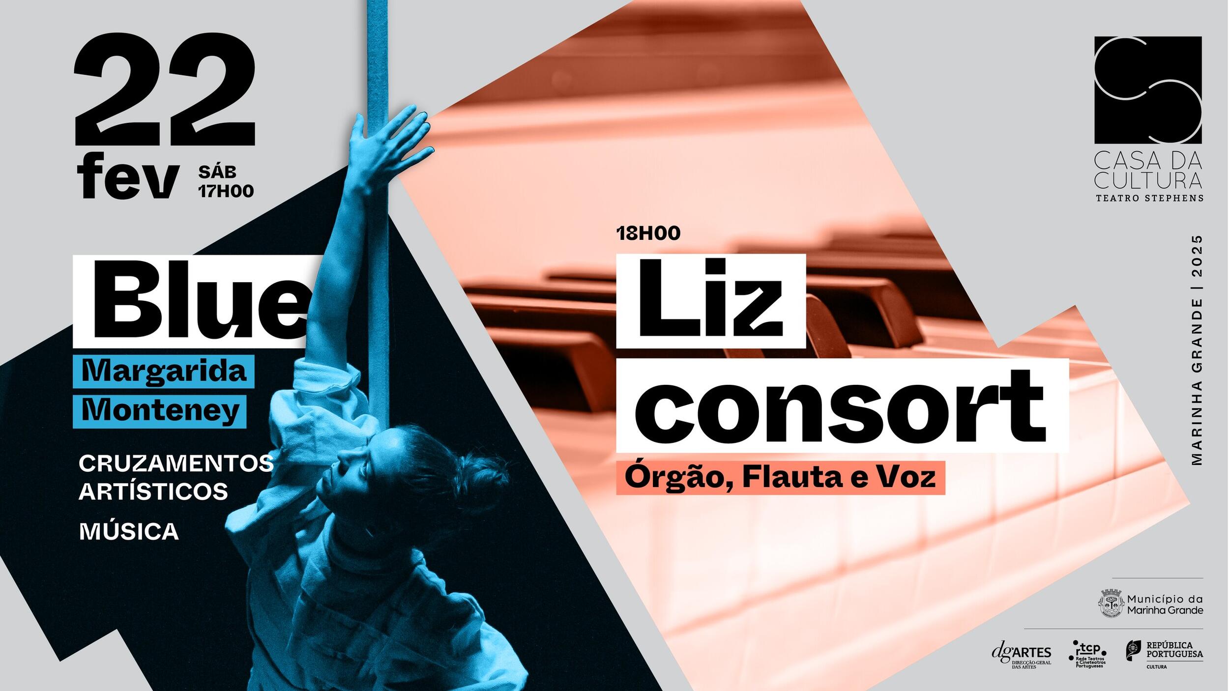 22_02_blue_liz_consort_banner_digital
