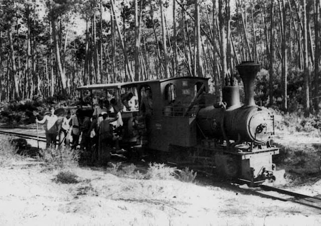 o_comboio_de_lata_no_pinhal_do_rei___locomotiva_no_2___ano_de_1923