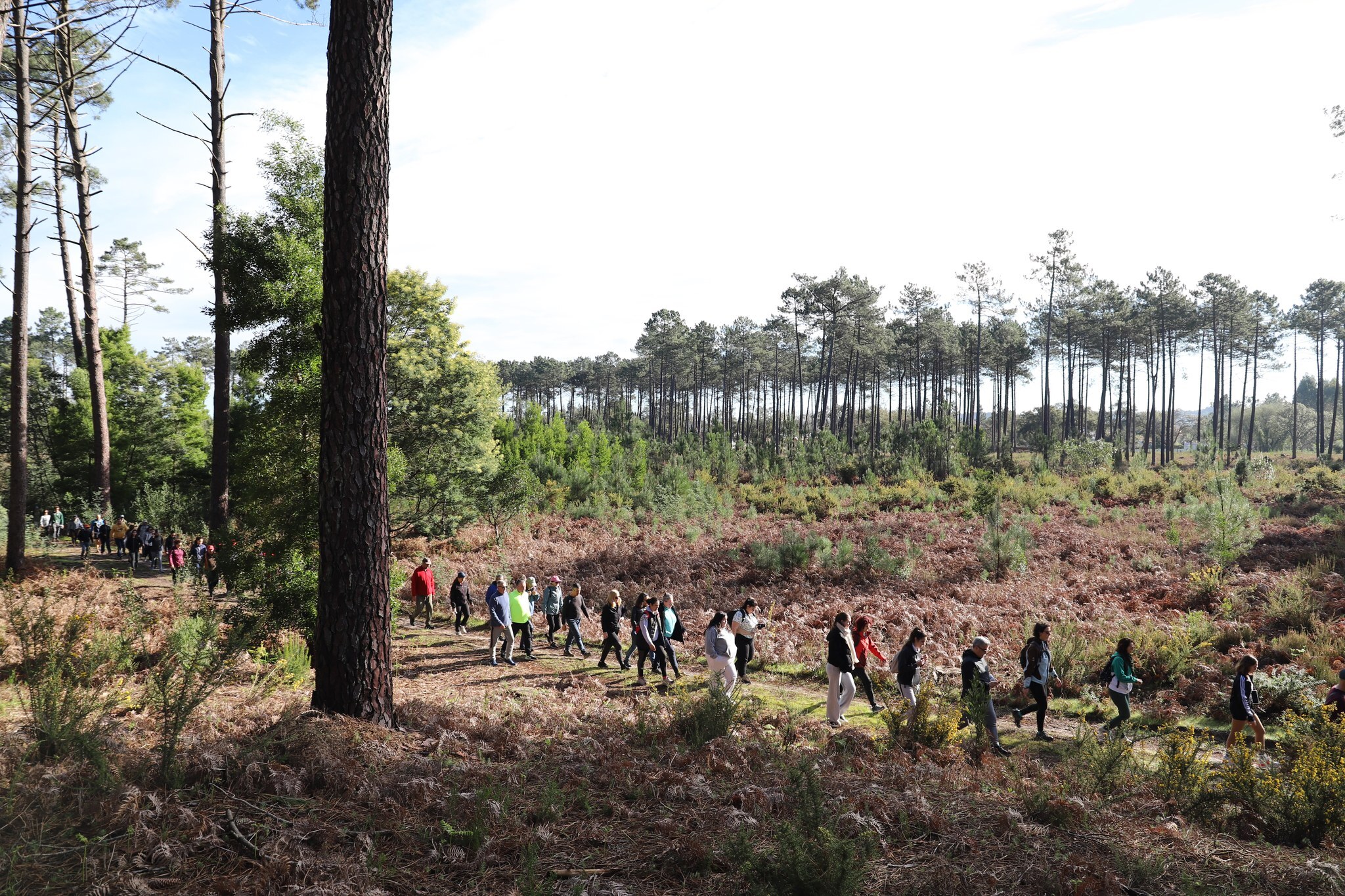 passeio_pedestre_2025_2