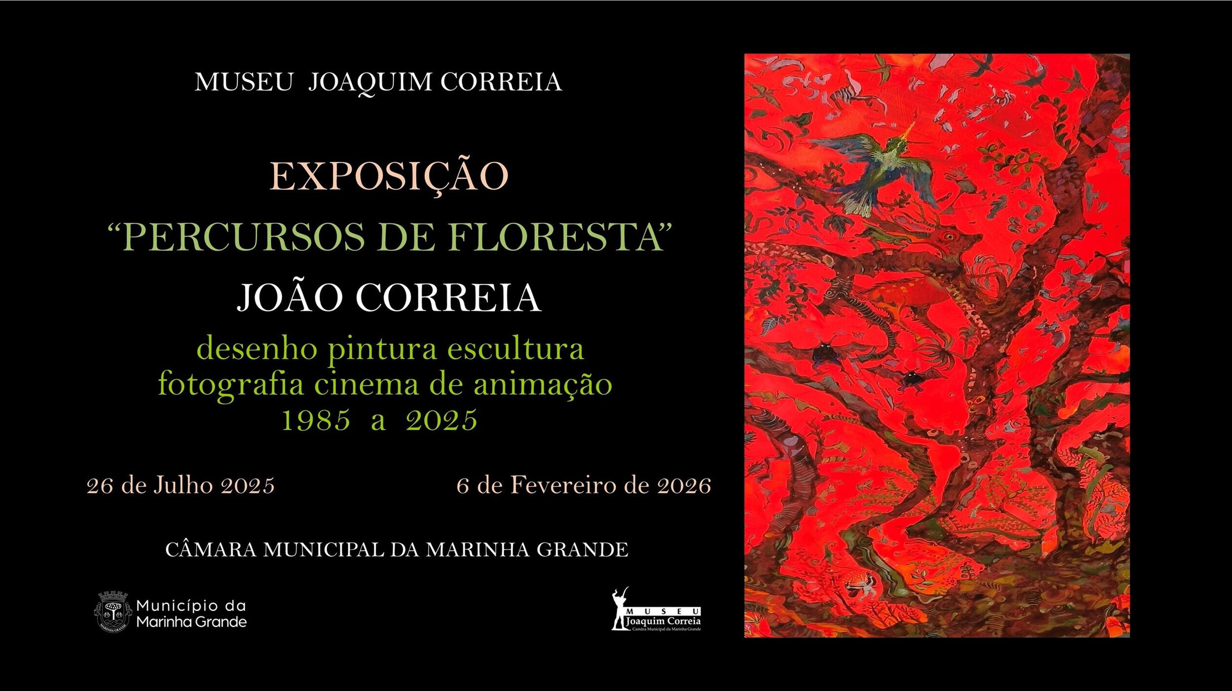 story_digital_exp_mg__1_