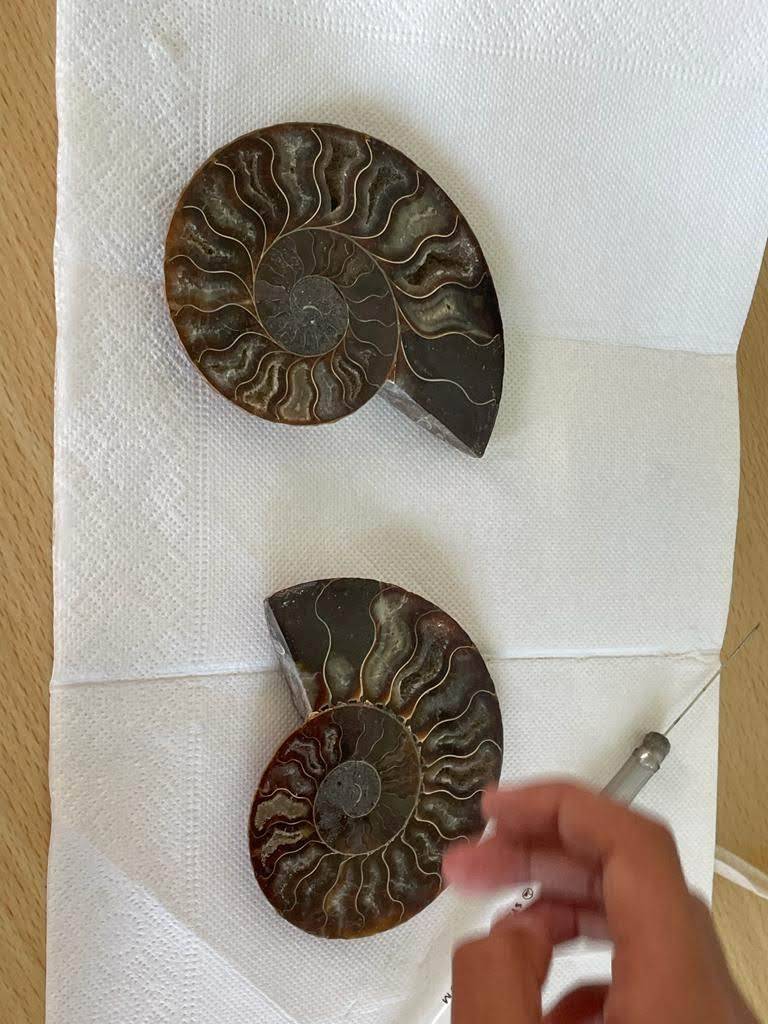 ciencia_viva_microscopio3_1_