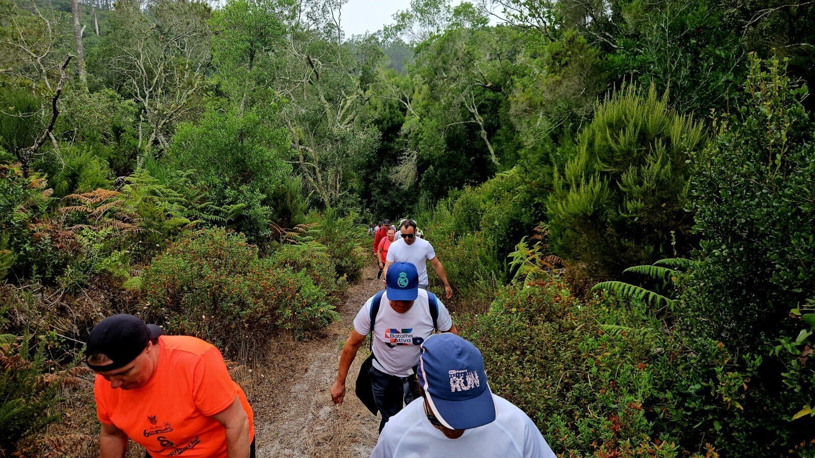 img_20250717_wa0007_1_