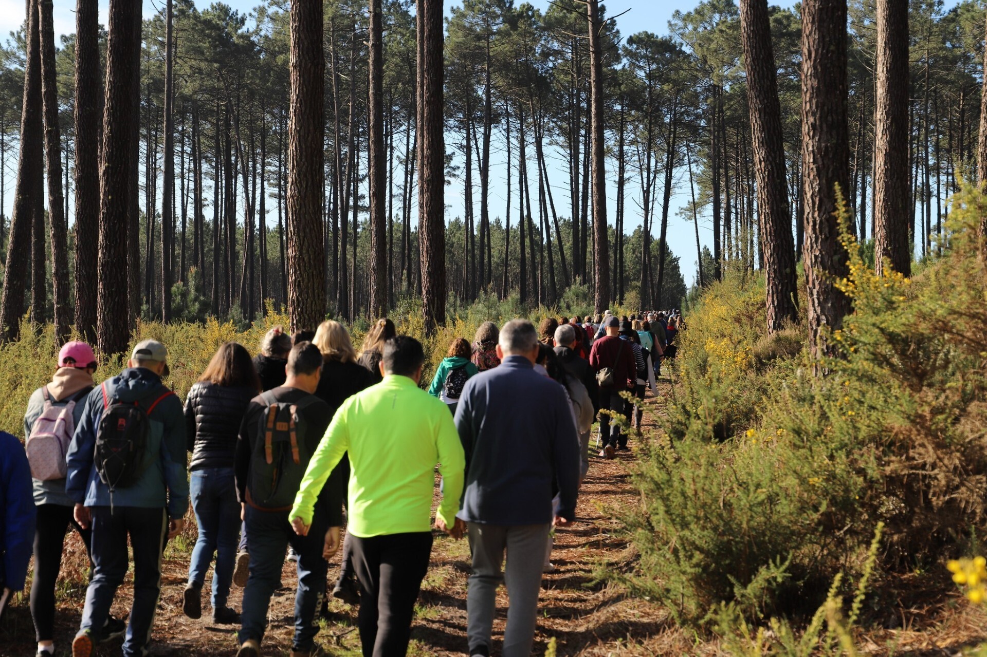 thumbnail_passeio_pedestre_2025_3