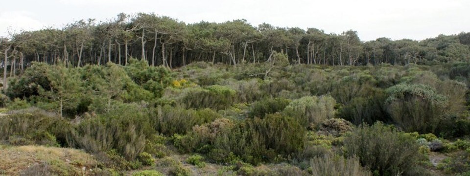 passeio_na_natureza_13092025