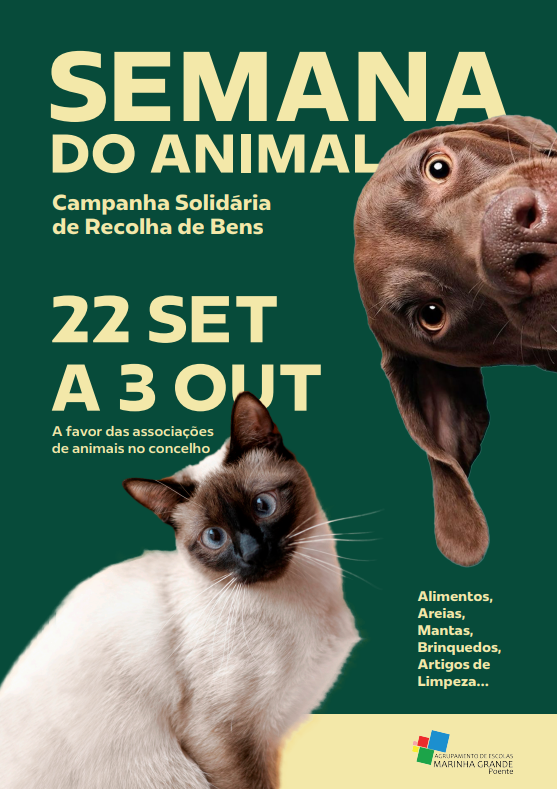 captura_de_ecra_2025_09_16_103349