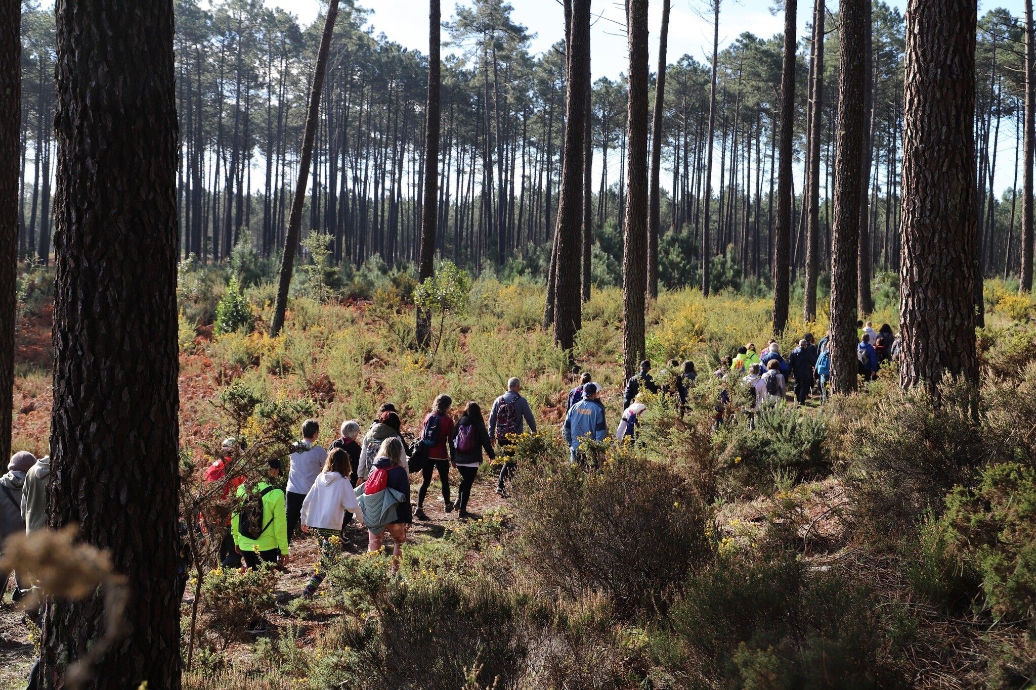 passeio_pedestre_2025_1