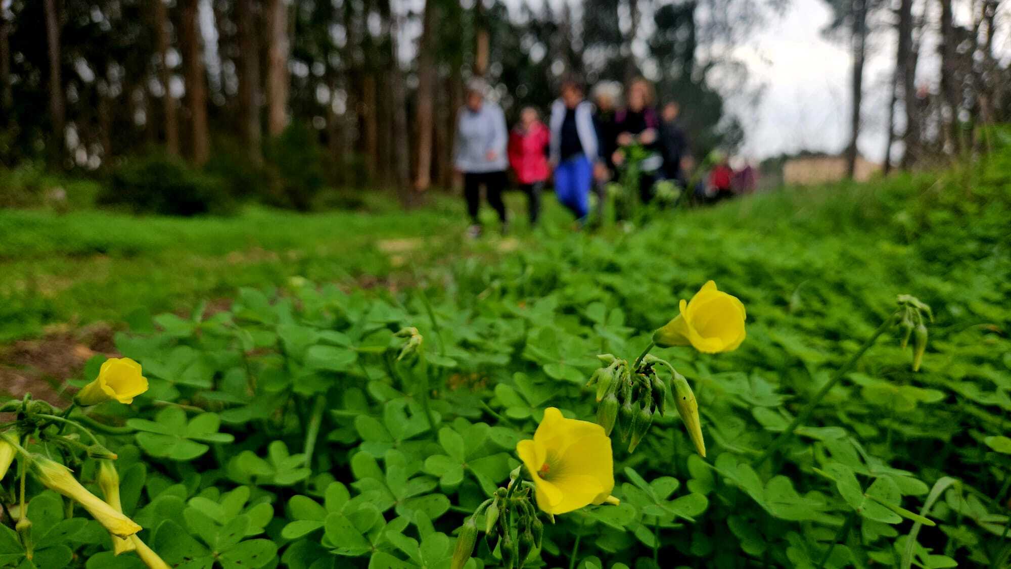 passeio_pedestre2024_1