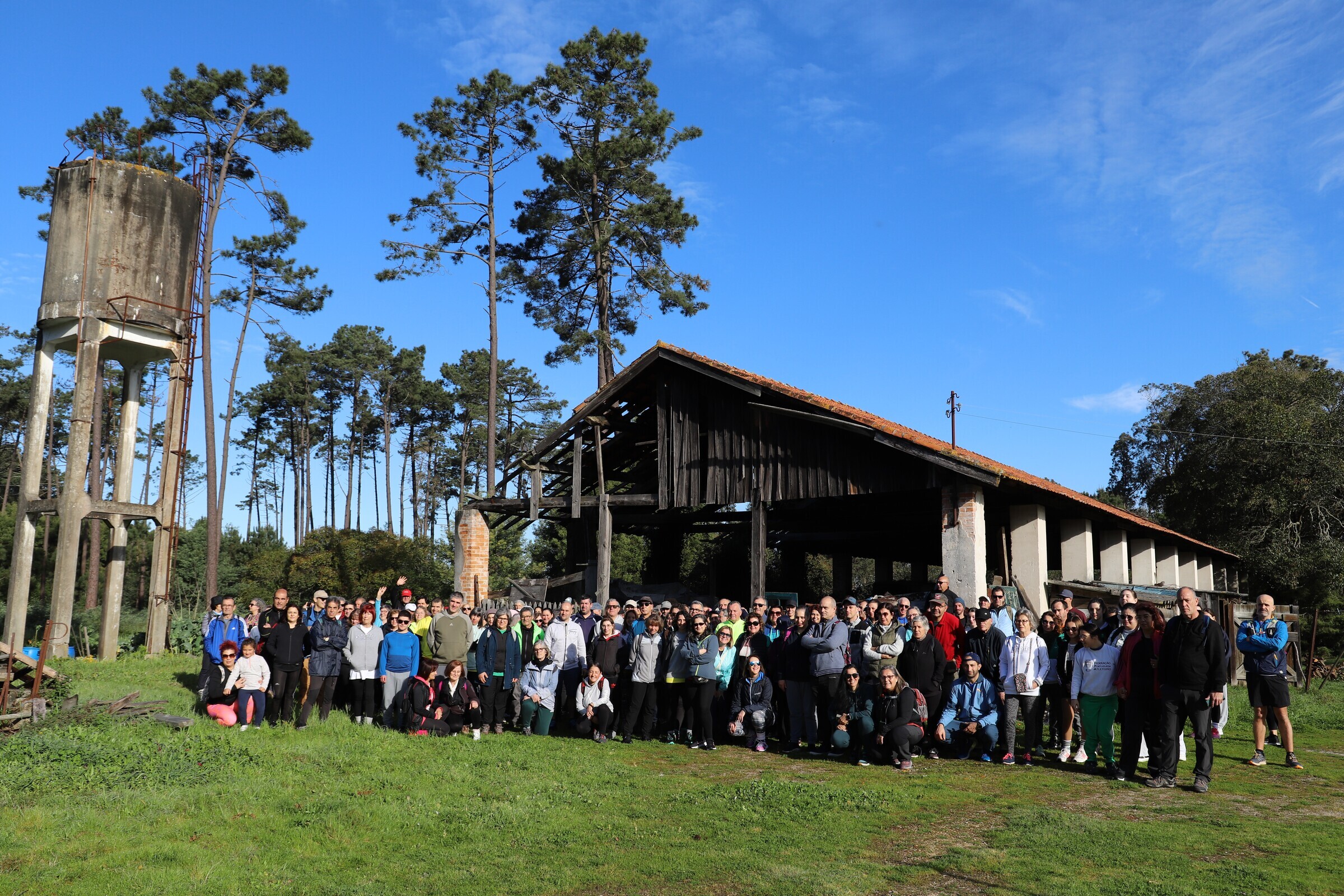 passeiopedsestrecomboio_de_lata_23022025_