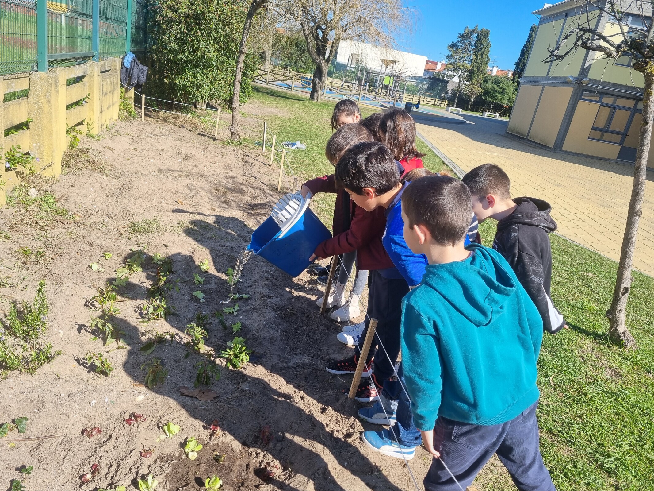 horta_ecologica_casal_malta_marco2025_12