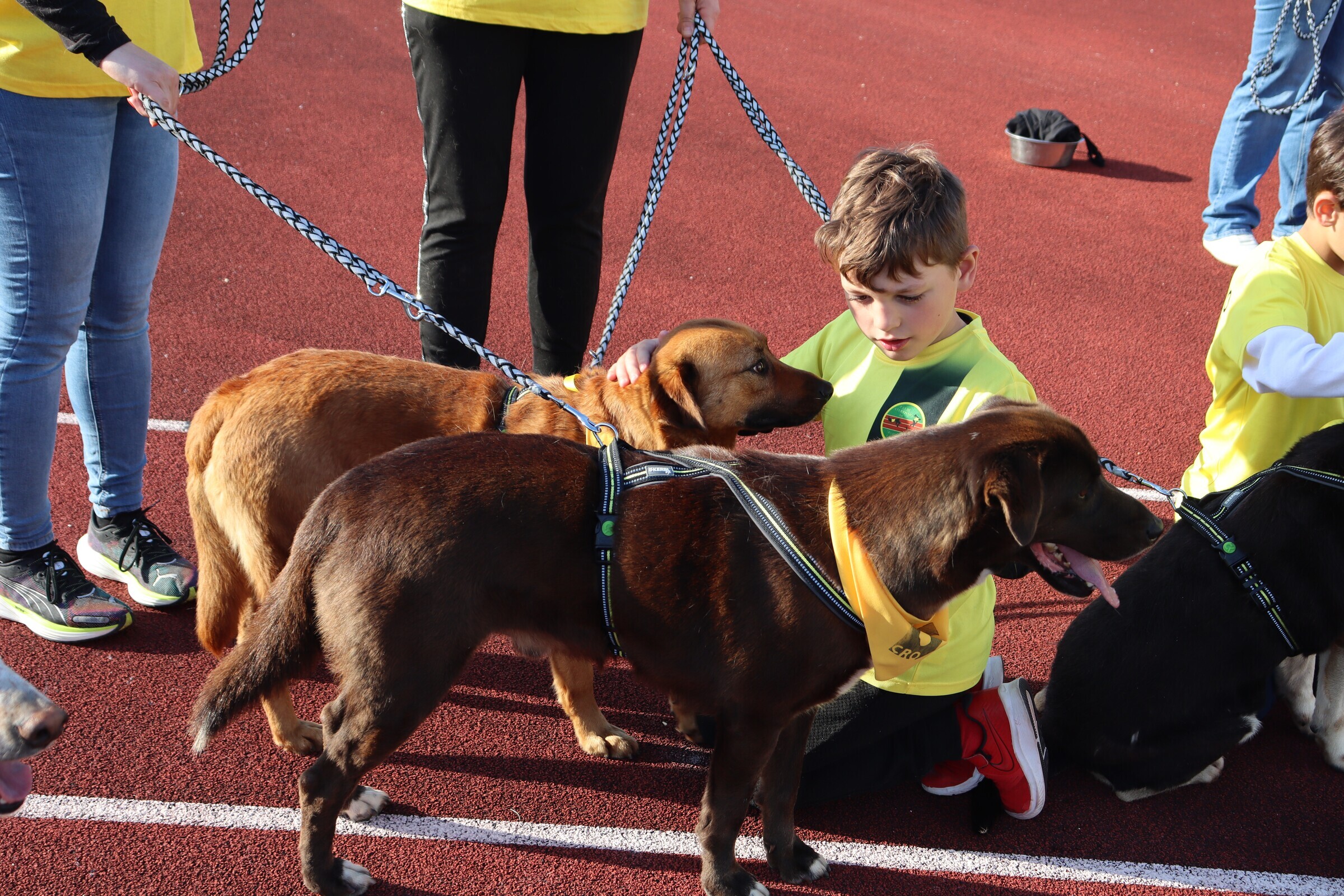 max_e_pazuzo_com_o_vasco