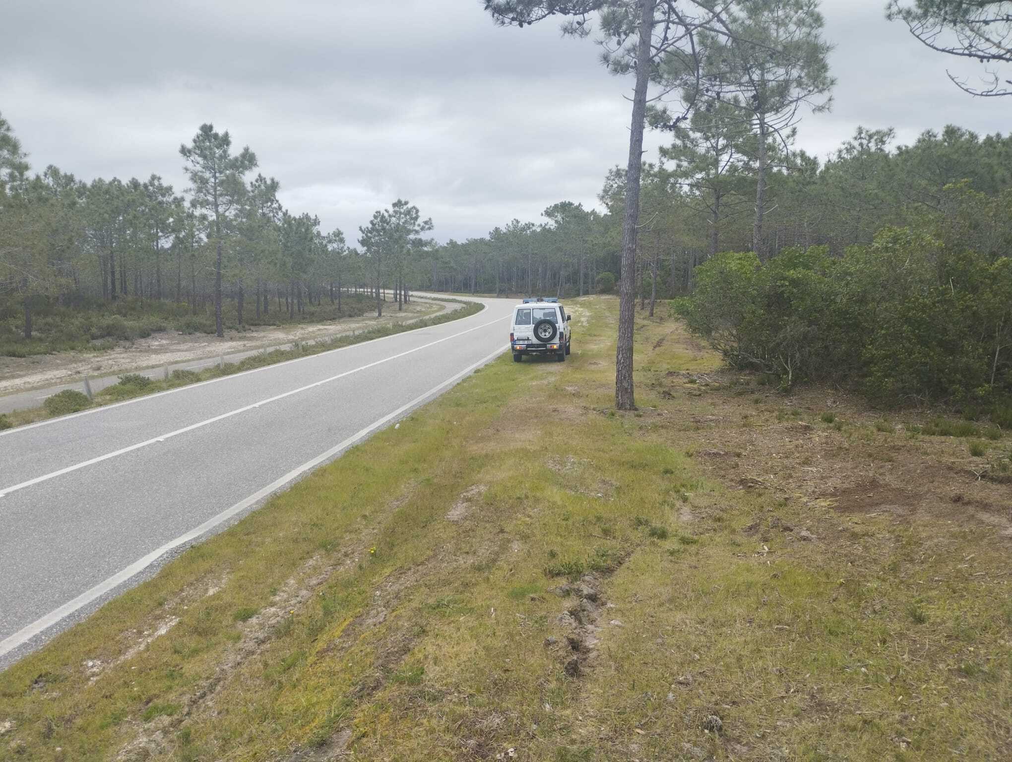 vigilancia_florestal1