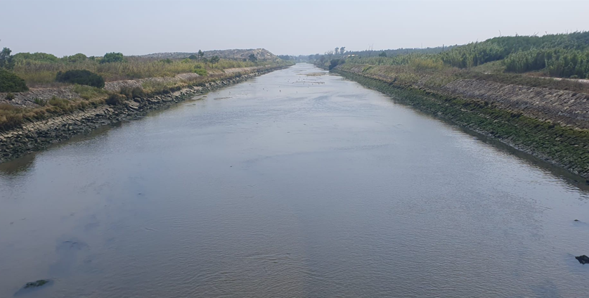 captura_de_ecra_2025_08_13_142024