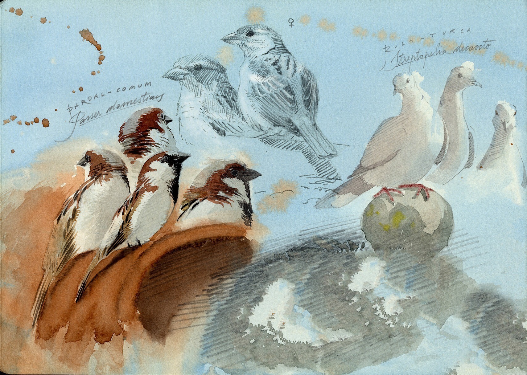 mjc_oficina_desenho_27092025_2