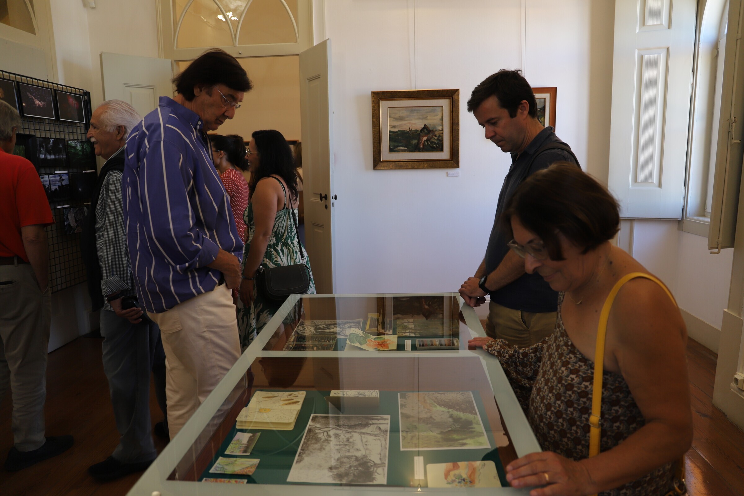 mjc_percursos_da_floresta_2025_1