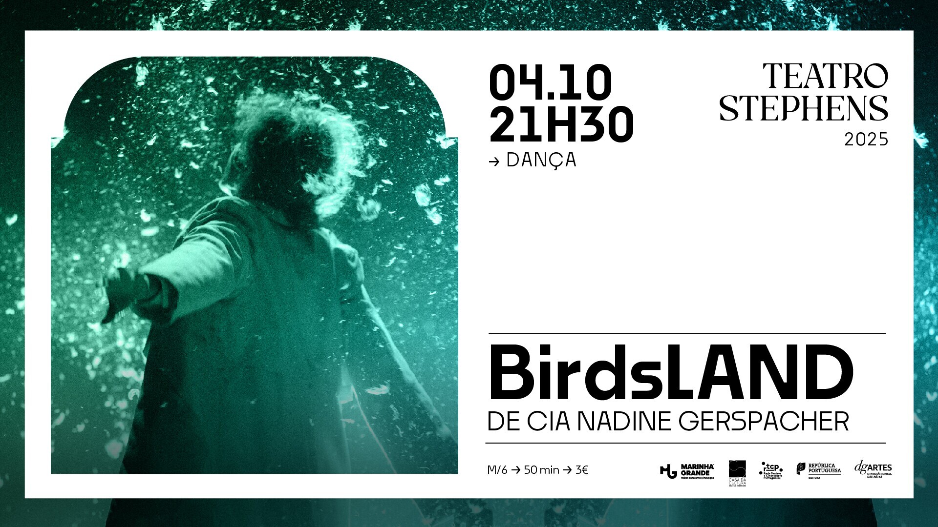 04_10_birdsland_banner_digital