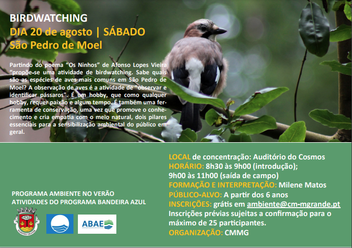 birdwatching sao pedro de moel 2