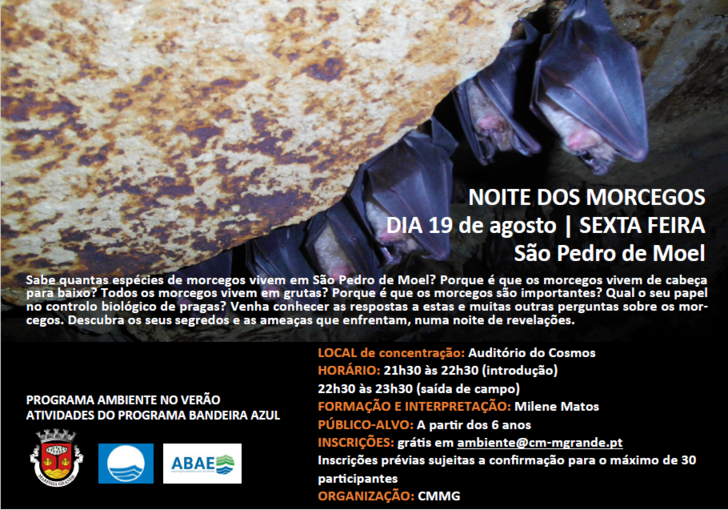 noite dos morcegos sao pedro de moel