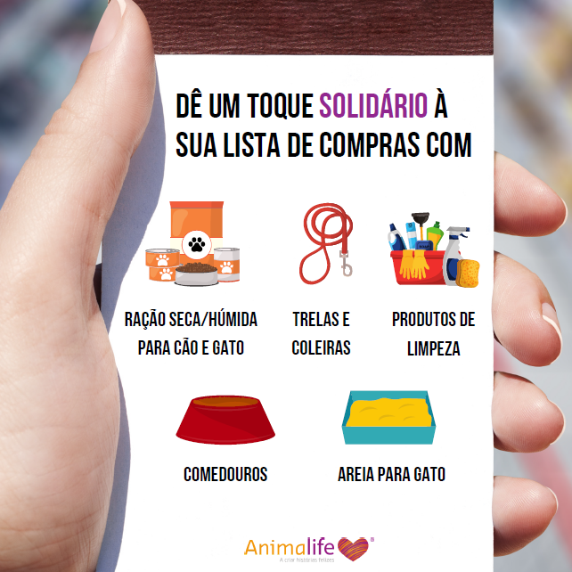 311354020_6493630037319224_3779947819483503021_n