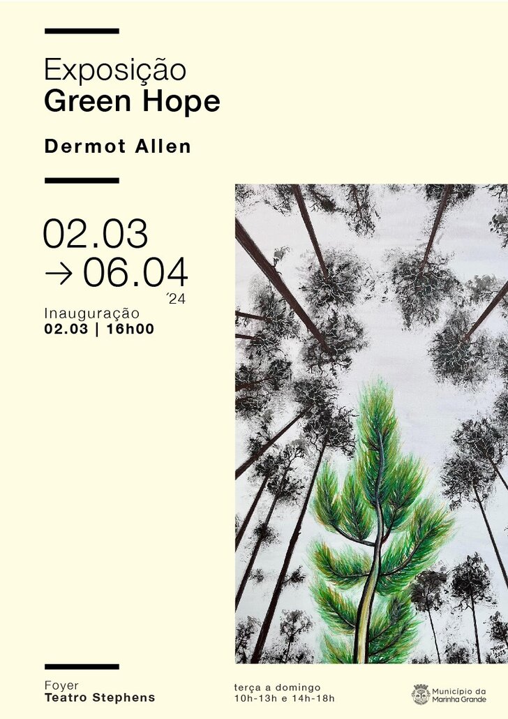 exposicao-Dermot_Allen_CARTAZ
