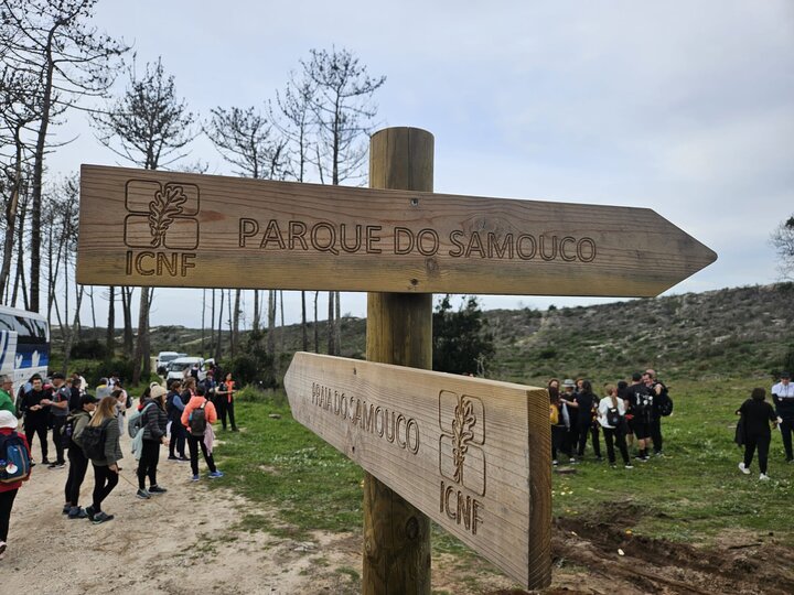 Samouco1